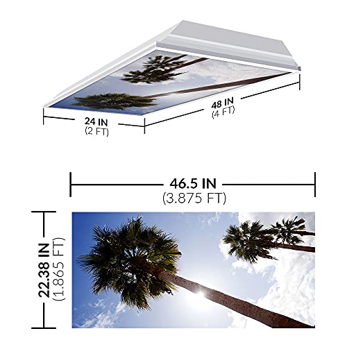 OCTO LIGHTS Fluorescent Light Covers for Classroom Office - Eliminate Harsh Glare Causing Eyestrain and Headaches. Office & Classroom Decorations - Tree 001 - color: Palm Tree, size: 1pk