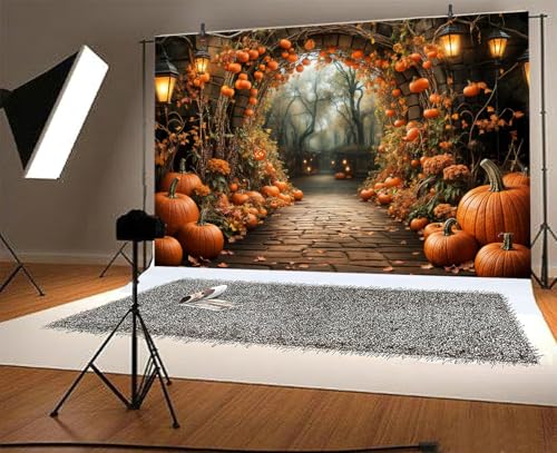 7 x 5 ft Autumn Backdrops Fall Stone Arch Leaves Pumpkin Leaf Path Scenery Photography Background Thanksgiving Yellow Flowers Seasonal Party Photo Studio Props - color: Yellow, size: 7x5ft