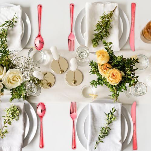 180 Pack Disposable Rose Red Plastic Silverware Contain 60 Forks,60 Spoons,60 Knives, Solid and Durable Plastic Cutlery Utensils Set Perfect for Parties,weddings. - color: Rose