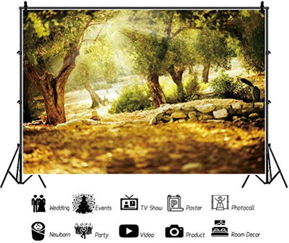 Leyiyi 6x4ft Natural Scenery Backdrop Olive Trees Sunshine Wonderland Dreamy Haze Blurred Background Stone Natural Forest Landscape Forest Park Vinyl Video Photo Studio Props - size: 6x4ft-Vinyl