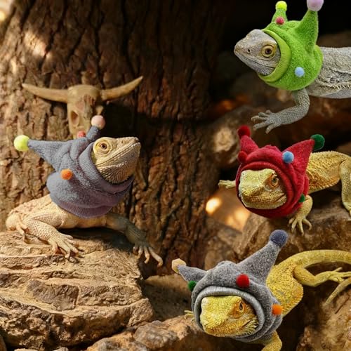Reptile Outdoor Walking Costume - Adjustable Funny Horn Ball Hat & Scarf Set, Pet Outdoor Walking Funny Outfit for Small Pets Lizard Gecko Chameleon Amphibians Ferret Hamster-Grey - color: Hat&Scarf-Grey