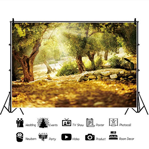 Yeele 10x6.5ft Spring Forest Backdrop for Photography Natural Jungle Woodland Scenery Green Tree Sunlight Scene Background for Kids Birthday Party Decor Baby Shower Banner Photo Shoot Props Vinyl - size: 10x6.5ft