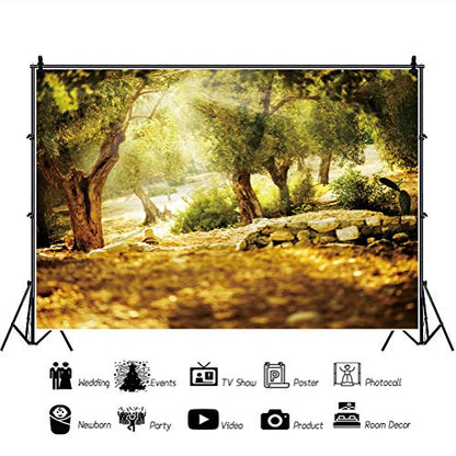 Leyiyi 10x8ft Natural Scenery Backdrop Olive Trees Sunshine Wonderland Dreamy Haze Blurred Background Stone Natural Forest Landscape Video Photo Studio Prop - size: 10x8ft-Vinyl