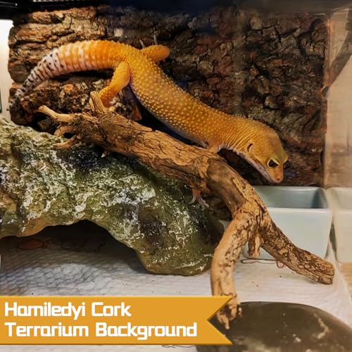 Hamiledyi 6PCS Cork Terrarium Background 15.7x11.8in Natural Large Cork Bark Backdrop Reptile Climbing Mat Tank Habitat Decor for Spider Lizard Chamelon Turtle Beared Dragon - size: 6PCS-15.7x11.8in