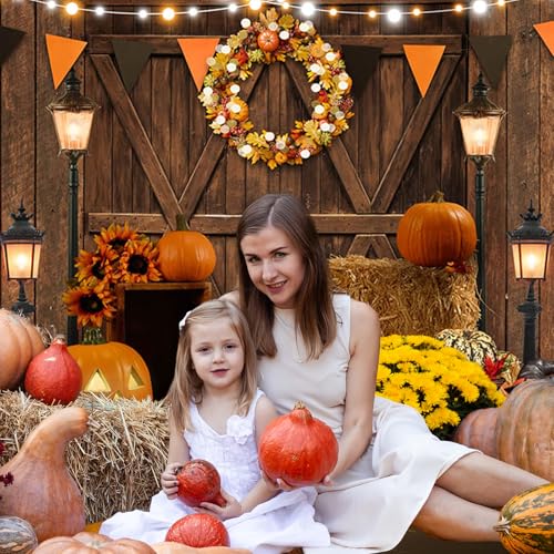 Avezano Fall Thanksgiving Photography Backdrop Autumn Pumpkin Harvest Barn Background Maple Leaves Rustic Wooden Door Garland Backdrops for Portrait Photoshoot Photo Studio (7x10ft) - size: 7x10ft