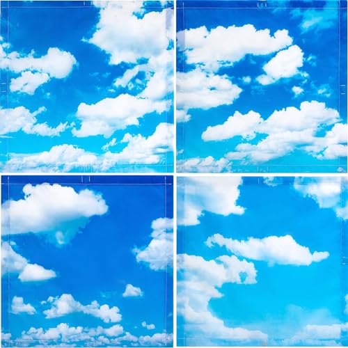 VIHOSE 4 Pack Fluorescent Light Covers Magnetic for Ceiling Lights 2 x 2 ft Office Classroom Light Covers Filters for School Home Hospital Decorations, 4 Styles(Sky) - style: Sky