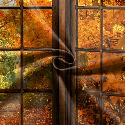 7x5 FT Fall Photo Backdrop Fall Window Backdrop Autumn Forest Natural Landscape Thanksgiving Day Photography Background Newborn Party Decoration Bannerwall Photo Booth Props