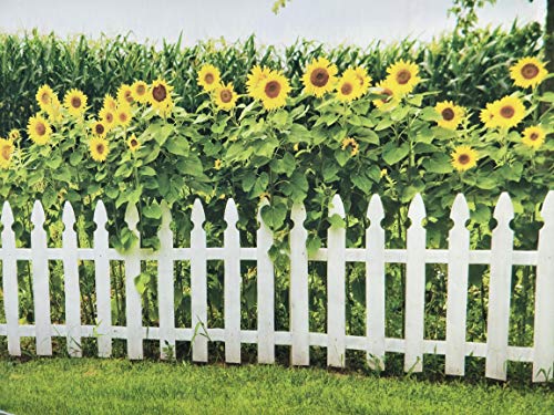 Leyiyi Spring Natural Scenery Backdrop 5x3ft Photography Backdrop Blossoming Yellow Sunflowers Tall Lush Tree White Wooden Textured Fence Family Children Baby Girl Personal Portraits Studio Props - size: 5x3ft