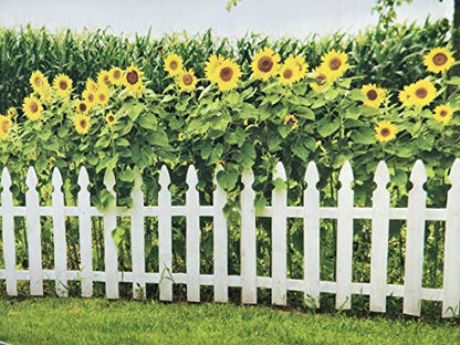 Leyiyi Spring Natural Scenery Backdrop 5x3ft Photography Backdrop Blossoming Yellow Sunflowers Tall Lush Tree White Wooden Textured Fence Family Children Baby Girl Personal Portraits Studio Props - size: 5x3ft