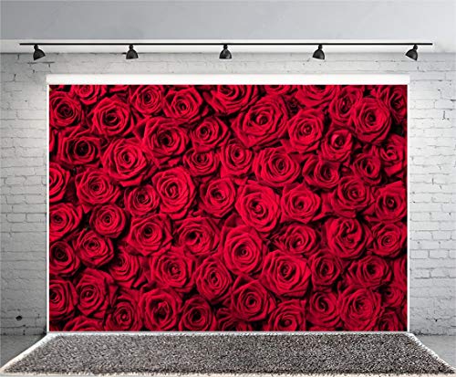 Laeacco 7x5ft Red Roses Background Vinyl Photography Background Blossoms Roses Wall Texture Lovers Girls Children Kids Photos Video Studio Props - size: 7x5ft
