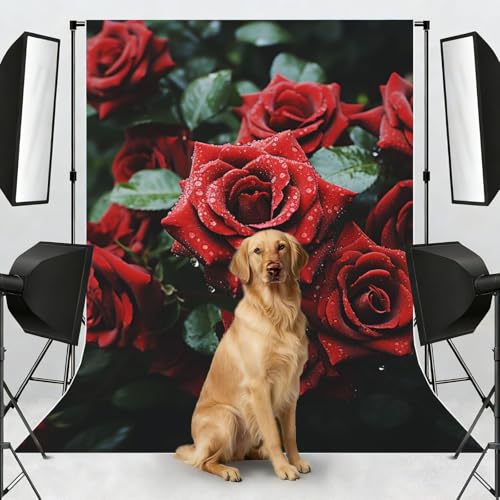 Red and Black Rose Backdrop Background for Photography 5x7ft Photobooth Professional Photo Backdrop Curtains Video Photography Studio Photo Backgrounds Banner Booth Background Screen Parties - color: Red And Black Rose
