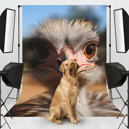 Cute Ostrich Backdrop Background for Photography 5x7ft Photobooth Professional Photo Backdrop Curtains Video Photography Studio Photo Backgrounds Banner Booth Background Screen Parties - color: Cute Ostrich