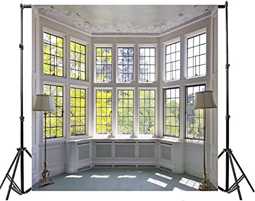 AOFOTO 10x10ft Classic French Pane Bay Windows Backdrop Luxury Retro Interior Decoration Floor Lamps Photography Background New Life Furniture Home Lifestyle Estate Modern Residence Photo Studio Props - size: 10x10ft