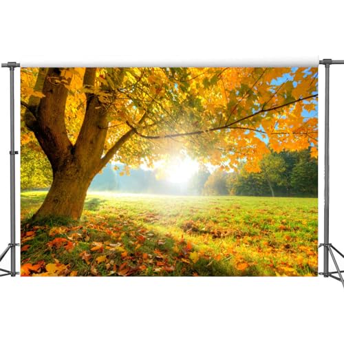 Yeele 6x4ft Autumn Forest Scenery Backdrop Wild Maple Tree Deciduous Grassland Photography Background Fall Nature Landscape Vinyl Wallpaper Portrait Photo Shoot Props - size: 6x4ft