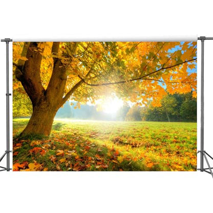 Yeele 10x8ft Autumn Forest Scenery Backdrop Wild Maple Tree Deciduous Grassland Photography Background Fall Nature Landscape Vinyl Wallpaper Portrait Photo Shoot Props - size: 10x8ft