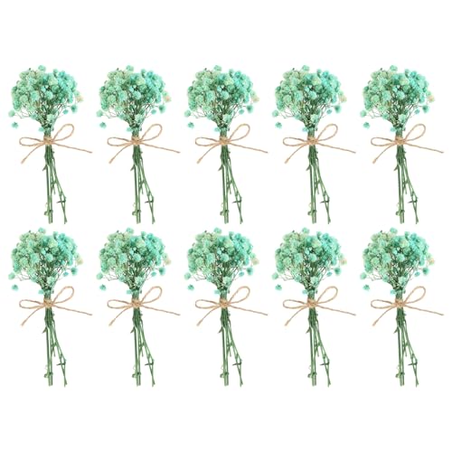 PATIKIL Mini Dried Flower Bouquet, 10 Pcs Baby's Breath Natural Wildflower with Stem Decor Boho Floral Plant Flower for Crafts DIY Photo Props Gift Wedding Decor, Sky Blue - color: Sky Blue