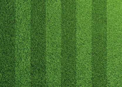 BELECO 10x6.5ft Fabric Green Grass Lawn Backdrop Football Stadium Soccer Field Sports Game Lawn Background for Party Decorations Photo Studio Props - size: 10x6.5FT