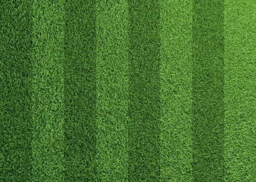 BELECO 20x10ft Fabric Green Grass Lawn Backdrop Football Stadium Soccer Field Sports Game Lawn Background for Party Decorations Photo Studio Props - size: 20x10ft