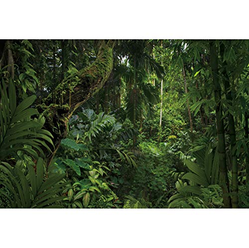 8x5ft Jungle Forest Photography Backdrop for Outdoorsy Camping Theme Party Background Spring Mysterious Rainforest Jungle Forest Tree Natural Scenery Kids Adult Wedding Photo Studio Props - size: 8x5ft