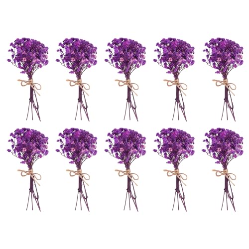 PATIKIL Mini Dried Flower Bouquet, 10 Pcs Baby's Breath Natural Wildflower with Stem Decor Boho Floral Plant Flower for Crafts DIY Photo Props Gift Wedding Decor, Rose Purple - color: Rose Purple