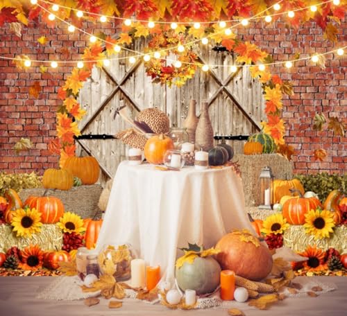 Fall Thanksgiving Backdrops for Photography Pumpkin Barn Door Fall Photo Backdrop LFEEY 10x8ft Maple Autumn Harvest Theme Background Autumn Farm Harvest Event Party Decorations Banner Photo Props