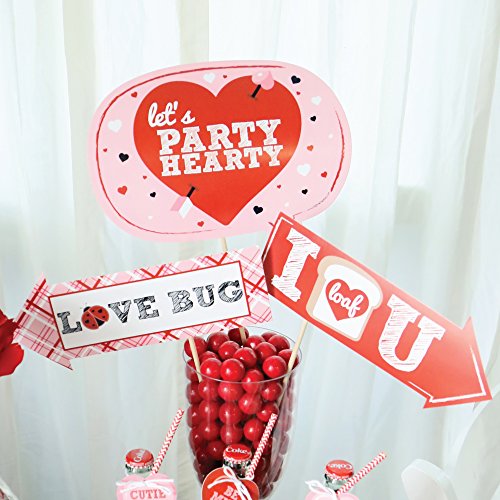 Big Dot of Happiness Funny Valentine's Day - Valentine's Day Photo Booth Props Kit - 10 Piece