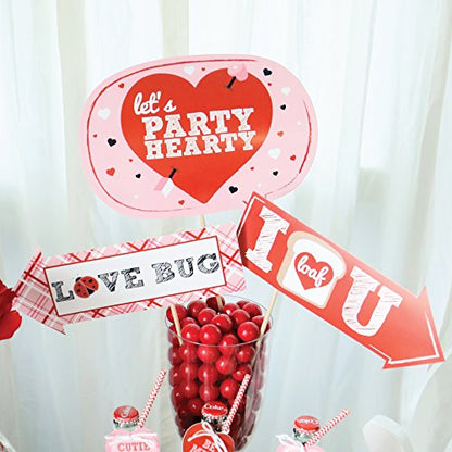 Big Dot of Happiness Funny Valentine's Day - Valentine's Day Photo Booth Props Kit - 10 Piece
