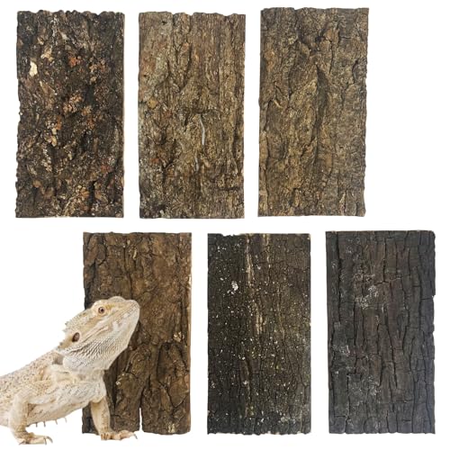 Natural Reptile Cork Bark Bedding Bearded Dragon Climbing Wall Mat 6PCS Cork Wood for Terrarium Background Decor Crested Gecko Tank Accessories for Lizard Snake Chameleon Tortoise Frog