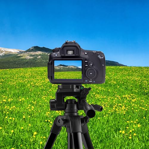 43mm (1-11/16") Quick Release Plate, Universal Tripod Mount Adapter with Anti-Twist Lock for 43x43mm Square Socket Tripod Heads - size: 43 MM