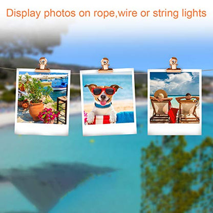 Small Bulldog Clips Rose Gold - Coideal 30 Pcs Mini Metal Binder Bull Clips Hinge Paper Clip Office Clamps for Picture Photos (22mm) - color: Rose Gold