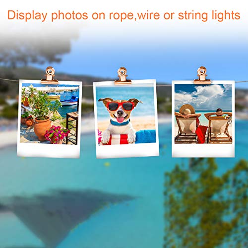 Small Bulldog Clips Rose Gold - Coideal 30 Pcs Mini Metal Binder Bull Clips Hinge Paper Clip Office Clamps for Picture Photos (22mm) - color: Rose Gold