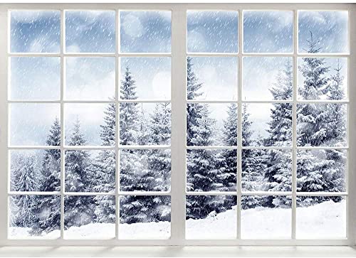 10x6.5ft Winter Forest Window Backdrop - Baby Newborn Winter Wonderland Backdrop for Photography Props - Christmas