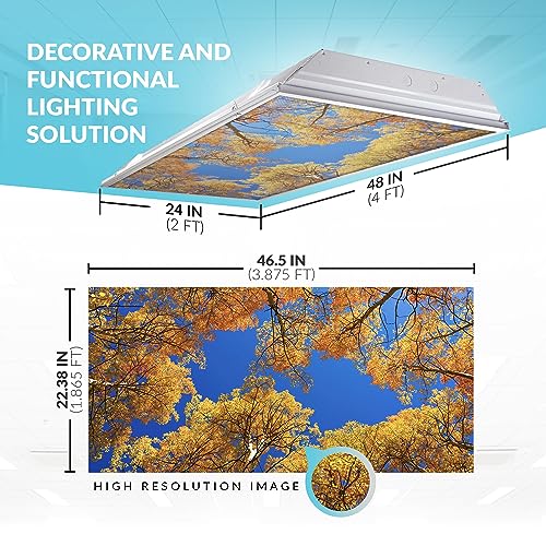 Octo Lights Tree Fluorescent Light Covers 2x4 Fixtures (22.38" x 46.5") Ceiling Light Cover for Classroom and Office, Decorative Light Covers for Ceiling Lights, Office Light Covers - (Pack of 1) - color: Aspen Tree, size: 1pk