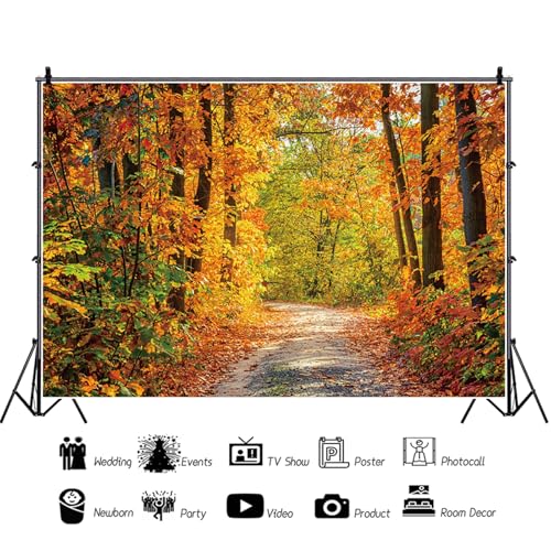 5x4ft Fall Backdrop Autumn Scenery Mountain Road Photography Background Tree Yellow Fall Leaves Natural Landscape Decorations Portraits Supplies Wallpaper Photo Studio Props - color: Orange, size: 5x4ft