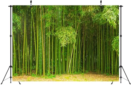 12x10ft Fabric Bamboo Forest Backdrop Park Green Bamboo Trees Forest Natural Texture Photography Background Natural Home Wallpaper Decor Photo Props - size: 12x10FT