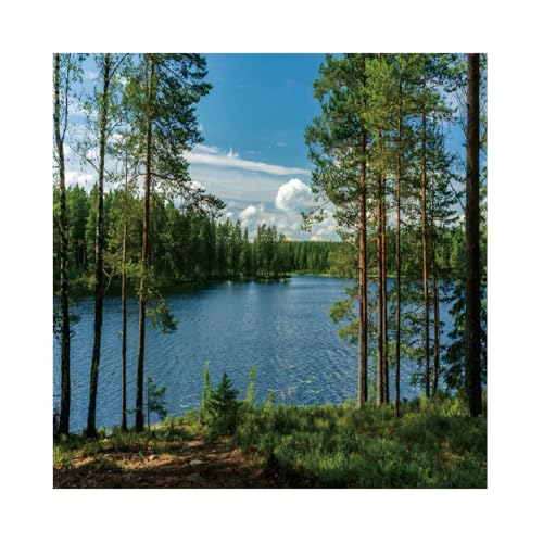 8x8ft Forest Lake Photo Backdrop Park Lakeside Green Trees Natural Scenery Background Banner Spring Summer Countryside Outdoor Picnic Camping Hiking Decor Kids Adults Portrait Studio Props - size: 8x8ft