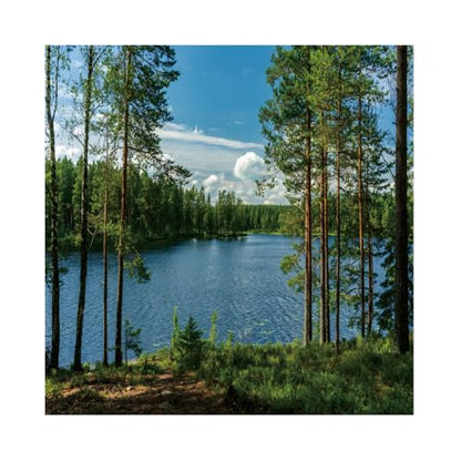10x10ft Forest Lake Photo Backdrop Park Lakeside Green Trees Natural Scenery Background Banner Spring Summer Countryside Outdoor Picnic Camping Hiking Decor Kids Adults Portrait Studio Props - size: 10x10ft