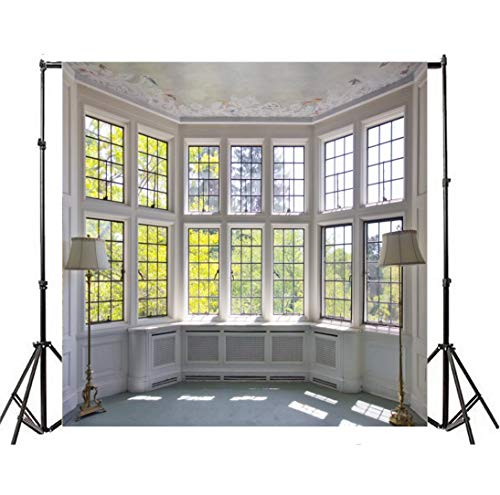 AOFOTO 6x6ft Classic French Pane Bay Windows Backdrop Luxury Retro Interior Decoration Floor Lamps Photography Background New Life Furniture Home Lifestyle Estate Modern Residence Photo Studio Props - size: 6x6ft