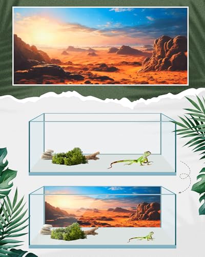 Breling 4 Pcs 71 x 18 Inch Reptile Habitat Background with Nano Glue Gobi Sun Cactus Stone and Green Tree Fern Stream Terrarium Background Polyester Durable Aquarium Accessories - color: Style1, size: 71 x 18 Inch