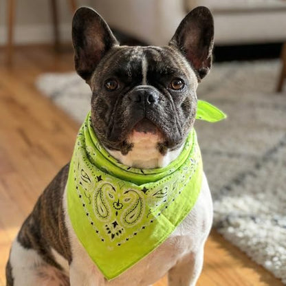 The Peacock Crew Premium Soft Cotton Bandanas Pack for Men and Women Paisley 22 x 22 inches - color: Pack of 10 Lime Green