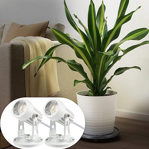 SUNVIE 2 Pack LED Spot Lights Indoor Plant Spotlight Lamp Up Lights for Indoor Plants Accent Lighting 120V Warm White Uplight 5.9 FT Cord with Floor Foot Switch, White (Base and Stake Included) - color: White, size: 2 Pack