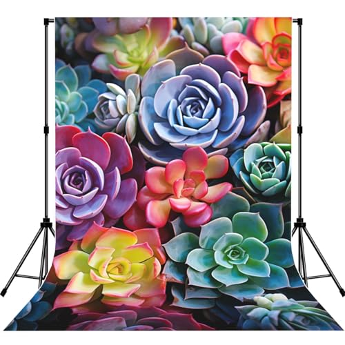 Colorful Succulent Backdrop Background for Photography 5x7ft Photobooth Professional Photo Backdrop Curtains Video Photography Studio Photo Backgrounds Banner Booth Background Screen Parties - color: Colorful Succulent
