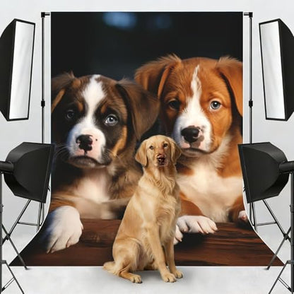 Puppies Dogs Pets Animals Backdrop Background for Photography 5x7ft Photobooth Professional Photo Backdrop Curtains Video Photography Studio Photo Backgrounds Banner Booth Background Screen Parties - color: Puppies Dogs Pets Animals