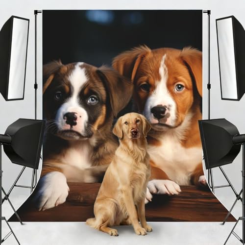 Puppies Dogs Pets Animals Backdrop Background for Photography 5x7ft Photobooth Professional Photo Backdrop Curtains Video Photography Studio Photo Backgrounds Banner Booth Background Screen Parties - color: Puppies Dogs Pets Animals