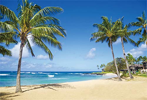 Yeele 10x6.5ft Seaside Backdrop for Photography Sandy Beach Palm Trees Background Summer Tropical Ocean Outdoors Nature Scenic Kids Adult Holiday Travel Photo Booth Shoot Vinyl Studio Props