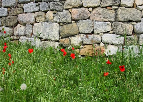 BELECO 12x10ft Fabric Vintage Stone Wall with Poppy Field Backdrop Rock Wall Green Meadow Red Poppies Flowers Background for Themed Party Decorations Banner Photography Props - size: 12x10FT