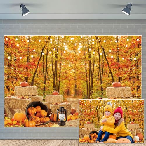 Autumn Scenery Backdrop Fall Thanksgiving Backdrop Pumpkin Harvest Photography Backdrop Sunflower Pumpkin Background Halloween Party Decorations Banner 8x6ft - color: Fall 009, size: 8x6ft