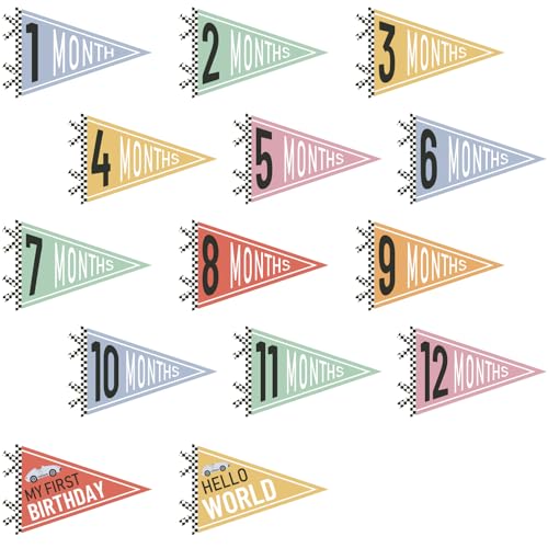 VitalCozy 14 Pcs Baby Milestone Pennant Signs Monthly Milestone Banner Flags Pennant Triangle Banner Age Flag Signs for Boy Girl Newborn Birthday Party Decor (Car) - color: Car