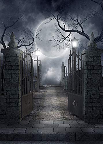 Halloween Theme 6X9FT Pictorial Cloth Seamless Customized Photography Backdrop Background Studio Prop TP17 - size: 6'x9'