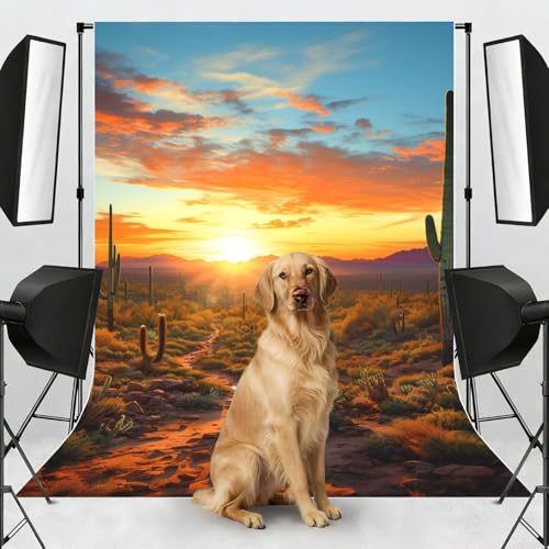 Saguaros at Sunset Backdrop Background for Photography 5x7ft Photobooth Professional Photo Backdrop Curtains Video Photography Studio Photo Backgrounds Banner Booth Background Screen Parties - color: Saguaros At Sunset
